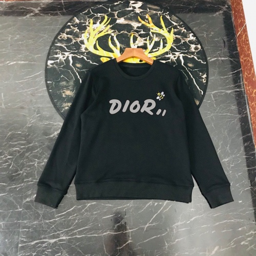 Christian Dior Hoodies Long Sleeved For Men #816047