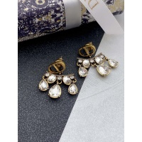Christian Dior Earrings #937817