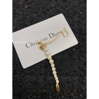 Christian Dior Earrings #938179