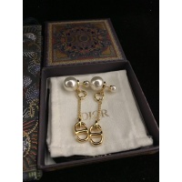 Christian Dior Earrings For Women #945173