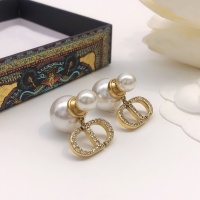 Christian Dior Earrings For Women #945182
