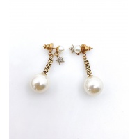 Christian Dior Earrings For Women #945508