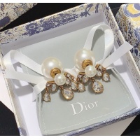 Christian Dior Earrings For Women #946907