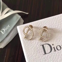 Christian Dior Earrings For Women #947171
