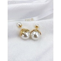 Christian Dior Earrings For Women #947248