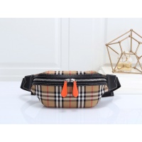 Burberry AAA Quality Belt Bags #998965