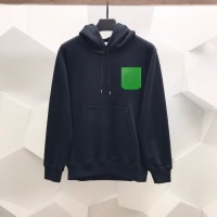 LOEWE Hoodies Long Sleeved For Unisex #1040562