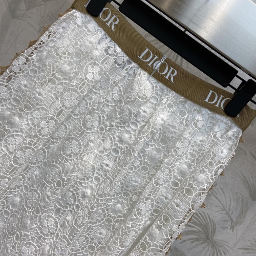 Cheap Christian Dior Skirts For Women #1067407 Replica Wholesale [$135.00 USD] [ITEM#1067407] on Replica Christian Dior Skirts