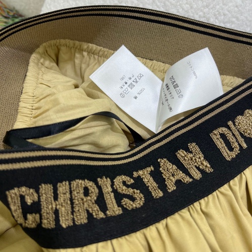 Cheap Christian Dior Skirts For Women #1072484 Replica Wholesale [$88.00 USD] [ITEM#1072484] on Replica Christian Dior Skirts