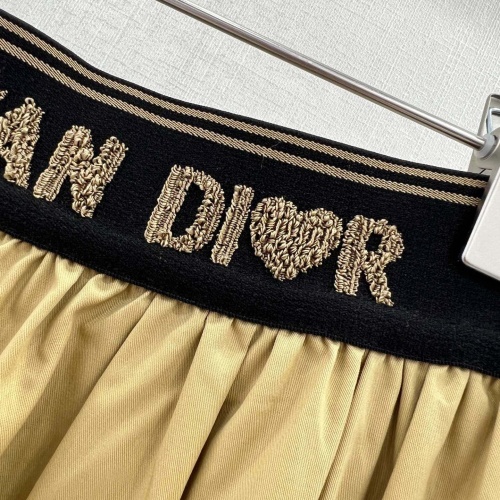 Cheap Christian Dior Skirts For Women #1072484 Replica Wholesale [$88.00 USD] [ITEM#1072484] on Replica Christian Dior Skirts