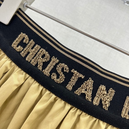 Cheap Christian Dior Skirts For Women #1072484 Replica Wholesale [$88.00 USD] [ITEM#1072484] on Replica Christian Dior Skirts