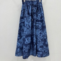 Christian Dior Skirts For Women #1117255