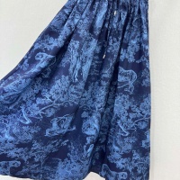 Cheap Christian Dior Skirts For Women #1117255 Replica Wholesale [$100.00 USD] [ITEM#1117255] on Replica Christian Dior Skirts