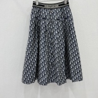 Christian Dior Skirts For Women #1127336