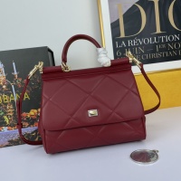 Dolce & Gabbana AAA Quality Handbags For Women #1138020