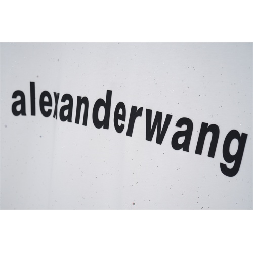Cheap Alexander Wang T-Shirts Short Sleeved For Unisex #1201310 Replica Wholesale [$34.00 USD] [ITEM#1201310] on Replica Alexander Wang T-Shirts