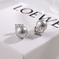 Cheap LOEWE Earrings For Women #1203824 Replica Wholesale [$27.00 USD] [ITEM#1203824] on Replica LOEWE Earrings