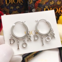 Christian Dior Earrings For Women #1205175