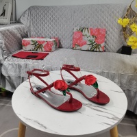 Dolce & Gabbana D&G Sandal For Women #1212849