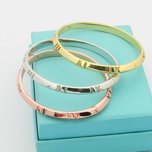 Cheap Tiffany Bracelets #1234531 Replica Wholesale [$29.00 USD] [ITEM#1234531] on Replica Tiffany Bracelets