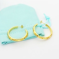 Tiffany Earrings For Women #1234006