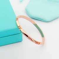 Tiffany Bracelets #1234530