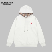 Burberry Hoodies Long Sleeved For Unisex #1237181