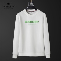 Burberry Hoodies Long Sleeved For Men #1240470