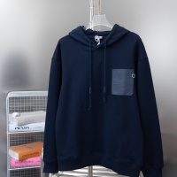 LOEWE Hoodies Long Sleeved For Unisex #1243056