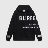 Burberry Hoodies Long Sleeved For Unisex #1243924