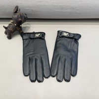 Christian Dior Gloves For Men #1244597