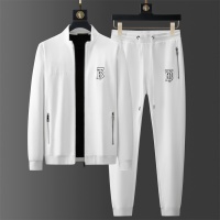 Burberry Tracksuits Long Sleeved For Men #1246390