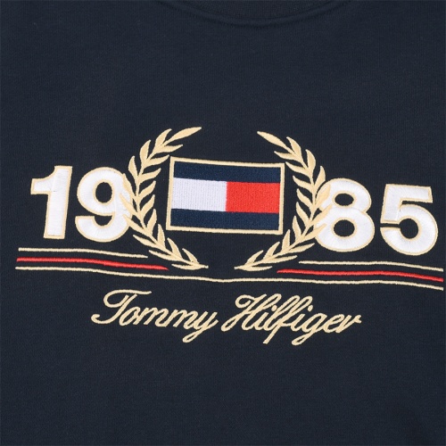 Cheap Tommy Hilfiger TH Hoodies Long Sleeved For Men #1247209 Replica Wholesale [$45.00 USD] [ITEM#1247209] on Replica Tommy Hilfiger TH Hoodies