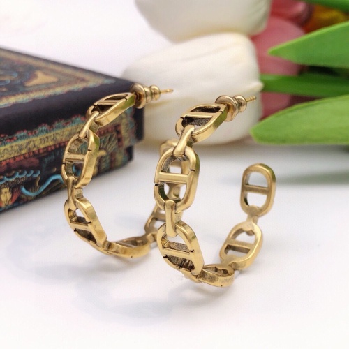 Cheap Christian Dior Earrings For Women #1253105 Replica Wholesale [$27.00 USD] [ITEM#1253105] on Replica Christian Dior Earrings