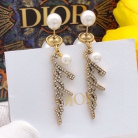 Christian Dior Earrings For Women #1251877