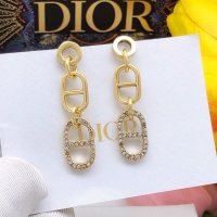 Christian Dior Earrings For Women #1252170