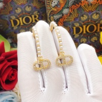 Cheap Christian Dior Earrings For Women #1253168 Replica Wholesale [$29.00 USD] [ITEM#1253168] on Replica Christian Dior Earrings