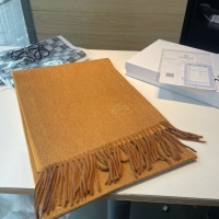 LOEWE Scarf #1255129