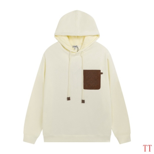 LOEWE Hoodies Long Sleeved For Unisex #1259366