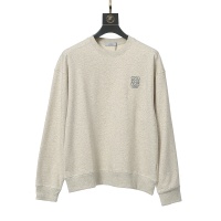 LOEWE Hoodies Long Sleeved For Unisex #1261413