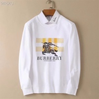 Burberry Hoodies Long Sleeved For Men #1264023