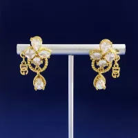 Dolce & Gabbana D&G Earrings For Women #1270574