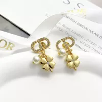 Christian Dior Earrings For Women #1271146