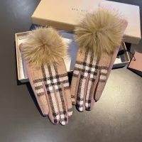 Burberry Gloves #1272847