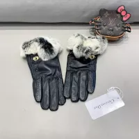 Christian Dior Gloves For Women #1272876