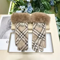 Burberry Gloves #1272924