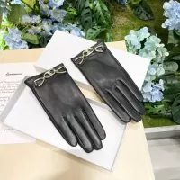 Cheap Celine Gloves For Women #1272944 Replica Wholesale [$45.00 USD] [ITEM#1272944] on Replica Celine Gloves