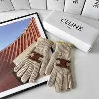 Celine Gloves #1272964