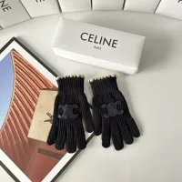 Celine Gloves #1272967