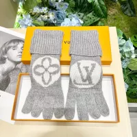 Louis Vuitton LV Gloves #1273000